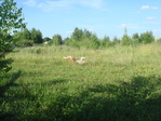 DSC02223