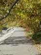 DSC01390.JPG