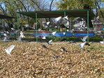 DSC01401.JPG