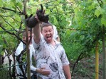 С таким-то животным, точно уворотом буду... )))