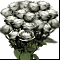 cache_image.php