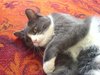 DSC00149
