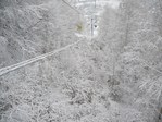 Красота
