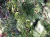 images (7)