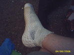 PIC_0009.JPG