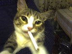 Моя киска!)))