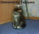 Тюрьма