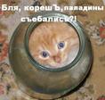 страх