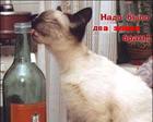 Элик