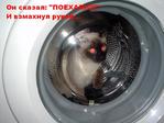 Он сказал: - Поехали! - И взмахнул рукой..