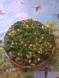 РєР°Р±РѕС‡РєРё