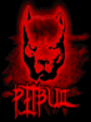 PitBull