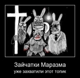 8kmiwyvm4q0m