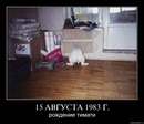 0a82d16gf9l5