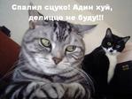 Спалил