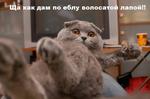 Отстань