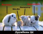 Дружбаны)