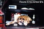 После 5-ти летки БК :)