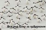 После глашатая заявки...