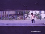 x_3362dbd6