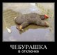 x_97a75941