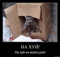 x_83aced99