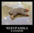 x_97a75941
