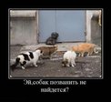 x_d60ac7bb