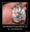 x_6b49c040