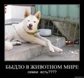 x_82bc575d