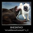 x_39f5f8c7