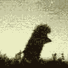 1-web.gif