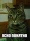ясно