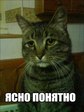 ясно
