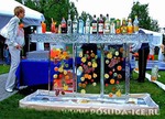 Бар изо льда, с вмороженными фруктами