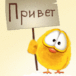 Vsem privet:)