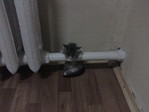 мне нравиться єтот котик