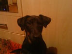 DSC00074