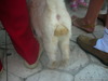 DSCN0666