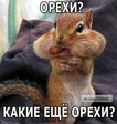 Белк)