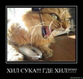 хил