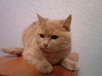 Отдах