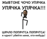 упячка сайт хорош,но всетаки не гож) я поет