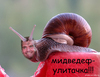 )))
