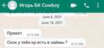 Cowboy1