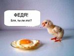 Федя )