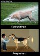 Приконо:-)