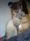 DSC00170