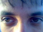 13062010395