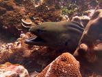 IMG_0884